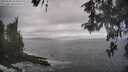 ./images/koeye/fitz-hugh/20260510/fitz-hugh20260510_104501M.jpg