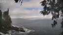 ./images/koeye/fitz-hugh/20260510/fitz-hugh20260510_105001M.jpg