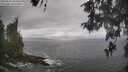 ./images/koeye/fitz-hugh/20260510/fitz-hugh20260510_105501M.jpg