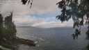 ./images/koeye/fitz-hugh/20260510/fitz-hugh20260510_110501M.jpg