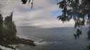 ./images/koeye/fitz-hugh/20260510/fitz-hugh20260510_111001M.jpg