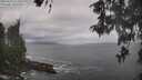 ./images/koeye/fitz-hugh/20260510/fitz-hugh20260510_112002M.jpg