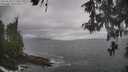 ./images/koeye/fitz-hugh/20260510/fitz-hugh20260510_112502M.jpg