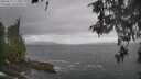 ./images/koeye/fitz-hugh/20260510/fitz-hugh20260510_113002M.jpg