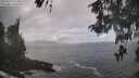 ./images/koeye/fitz-hugh/20260510/fitz-hugh20260510_115001M.jpg