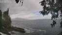 ./images/koeye/fitz-hugh/20260510/fitz-hugh20260510_115501M.jpg