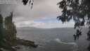 ./images/koeye/fitz-hugh/20260510/fitz-hugh20260510_120502M.jpg
