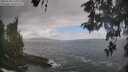 ./images/koeye/fitz-hugh/20260510/fitz-hugh20260510_121001M.jpg