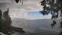 ./images/koeye/fitz-hugh/20260510/fitz-hugh20260510_122002M.jpg