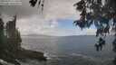 ./images/koeye/fitz-hugh/20260510/fitz-hugh20260510_122502M.jpg
