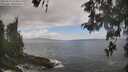 ./images/koeye/fitz-hugh/20260510/fitz-hugh20260510_123501M.jpg