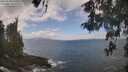 ./images/koeye/fitz-hugh/20260510/fitz-hugh20260510_124501M.jpg