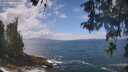 ./images/koeye/fitz-hugh/20260510/fitz-hugh20260510_125501M.jpg