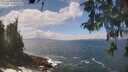 ./images/koeye/fitz-hugh/20260510/fitz-hugh20260510_131001M.jpg