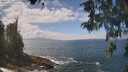 ./images/koeye/fitz-hugh/20260510/fitz-hugh20260510_131501M.jpg