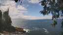 ./images/koeye/fitz-hugh/20260510/fitz-hugh20260510_132002M.jpg