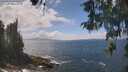 ./images/koeye/fitz-hugh/20260510/fitz-hugh20260510_132501M.jpg