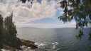 ./images/koeye/fitz-hugh/20260510/fitz-hugh20260510_134501M.jpg