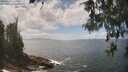 ./images/koeye/fitz-hugh/20260510/fitz-hugh20260510_135001M.jpg