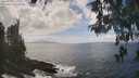 ./images/koeye/fitz-hugh/20260510/fitz-hugh20260510_140001M.jpg