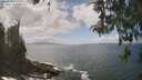 ./images/koeye/fitz-hugh/20260510/fitz-hugh20260510_140502M.jpg