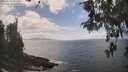 ./images/koeye/fitz-hugh/20260510/fitz-hugh20260510_141501M.jpg