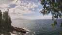 ./images/koeye/fitz-hugh/20260510/fitz-hugh20260510_142501M.jpg