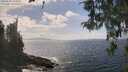 ./images/koeye/fitz-hugh/20260510/fitz-hugh20260510_144001M.jpg