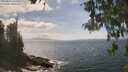 ./images/koeye/fitz-hugh/20260510/fitz-hugh20260510_144501M.jpg