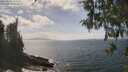 ./images/koeye/fitz-hugh/20260510/fitz-hugh20260510_145501M.jpg