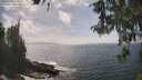 ./images/koeye/fitz-hugh/20260510/fitz-hugh20260510_151001M.jpg