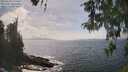 ./images/koeye/fitz-hugh/20260510/fitz-hugh20260510_152501M.jpg