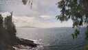./images/koeye/fitz-hugh/20260510/fitz-hugh20260510_153501M.jpg