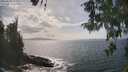 ./images/koeye/fitz-hugh/20260510/fitz-hugh20260510_154501M.jpg