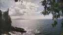 ./images/koeye/fitz-hugh/20260510/fitz-hugh20260510_155001M.jpg
