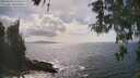 ./images/koeye/fitz-hugh/20260510/fitz-hugh20260510_155501M.jpg