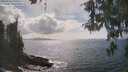./images/koeye/fitz-hugh/20260510/fitz-hugh20260510_160001M.jpg