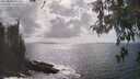 ./images/koeye/fitz-hugh/20260510/fitz-hugh20260510_161501M.jpg