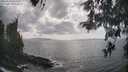 ./images/koeye/fitz-hugh/20260510/fitz-hugh20260510_162501M.jpg