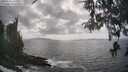 ./images/koeye/fitz-hugh/20260510/fitz-hugh20260510_163001M.jpg