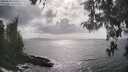./images/koeye/fitz-hugh/20260510/fitz-hugh20260510_164501M.jpg