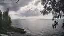 ./images/koeye/fitz-hugh/20260510/fitz-hugh20260510_165001M.jpg