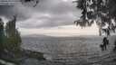 ./images/koeye/fitz-hugh/20260510/fitz-hugh20260510_172501M.jpg