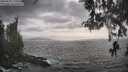./images/koeye/fitz-hugh/20260510/fitz-hugh20260510_173001M.jpg