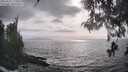 ./images/koeye/fitz-hugh/20260510/fitz-hugh20260510_173501M.jpg