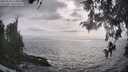 ./images/koeye/fitz-hugh/20260510/fitz-hugh20260510_174001M.jpg