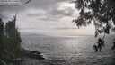 ./images/koeye/fitz-hugh/20260510/fitz-hugh20260510_174501M.jpg