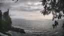 ./images/koeye/fitz-hugh/20260510/fitz-hugh20260510_175001M.jpg