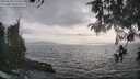./images/koeye/fitz-hugh/20260510/fitz-hugh20260510_175502M.jpg