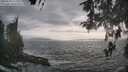 ./images/koeye/fitz-hugh/20260510/fitz-hugh20260510_180001M.jpg